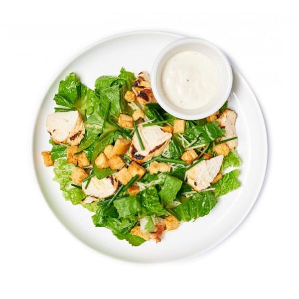 Grilled Chicken Caesar Salad